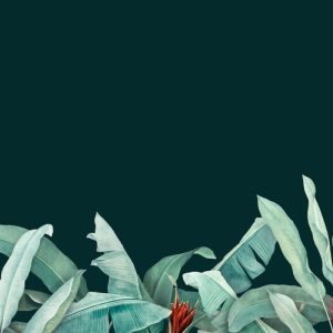 Papier peint feuillage vert tropical